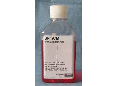 骨骼肌细胞培养基 500 ml